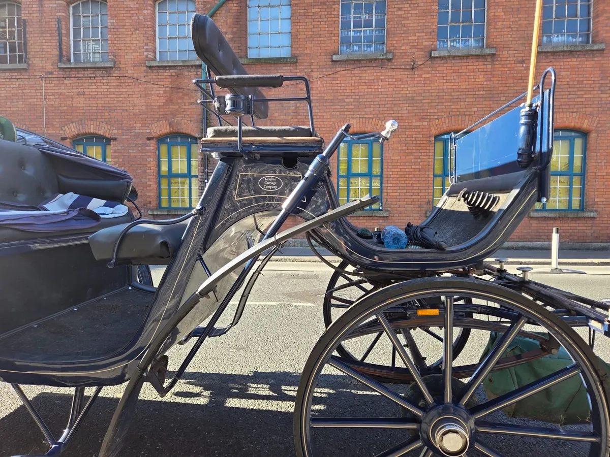 Victoria carriage - Image 3