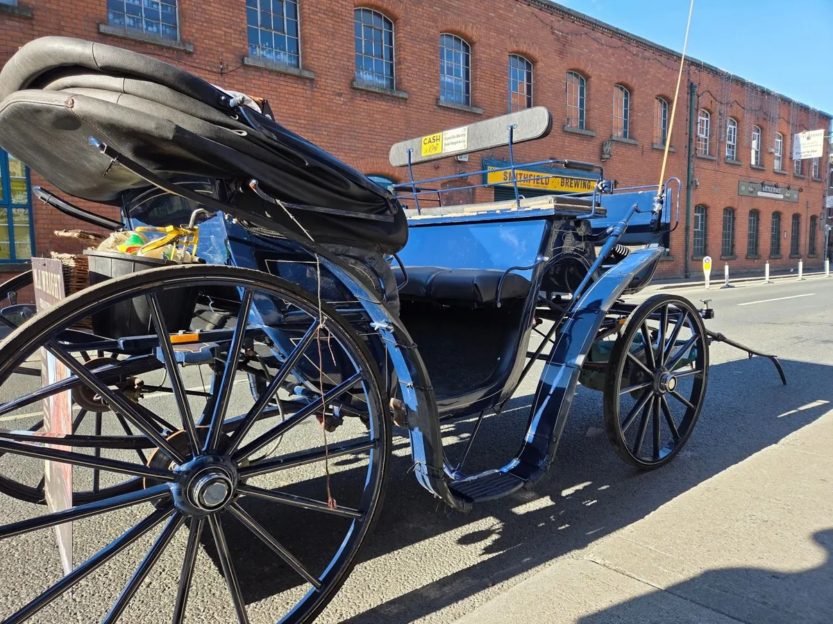 Victoria carriage - Image 4