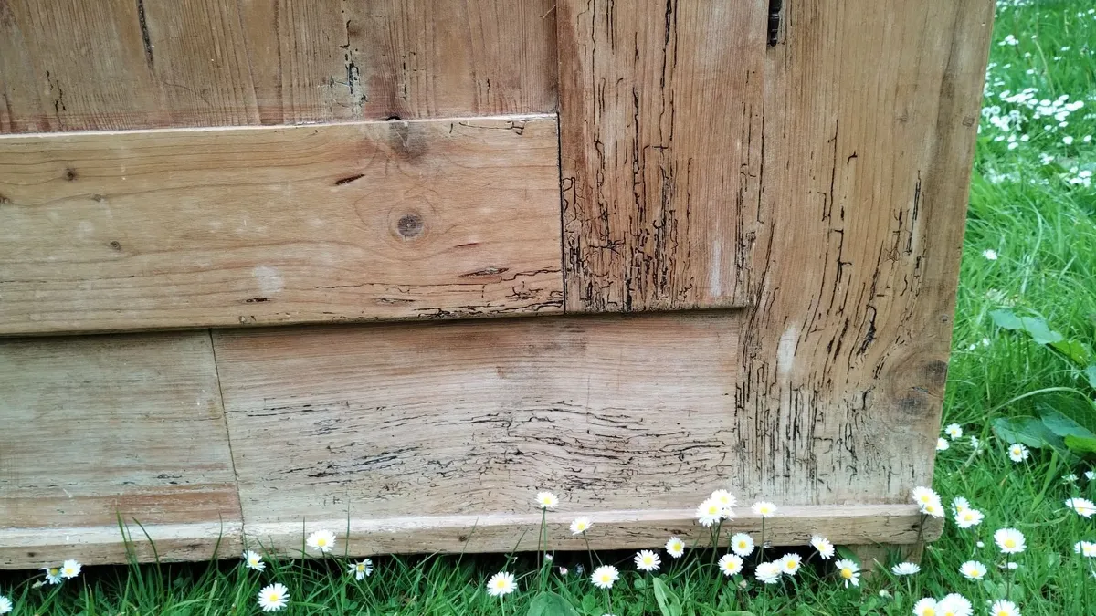 Wardrobe - large, rustic, antique pine wardrobe. - Image 3