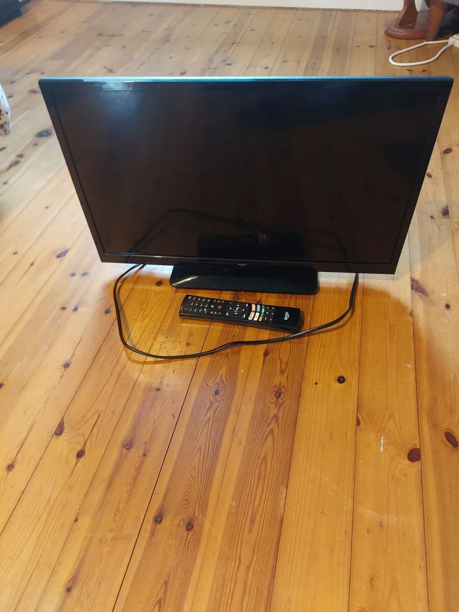 24 inch Bush TV