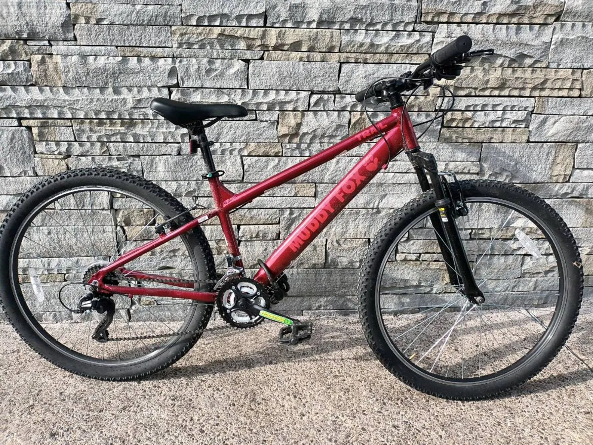 Bicycle - Image 1
