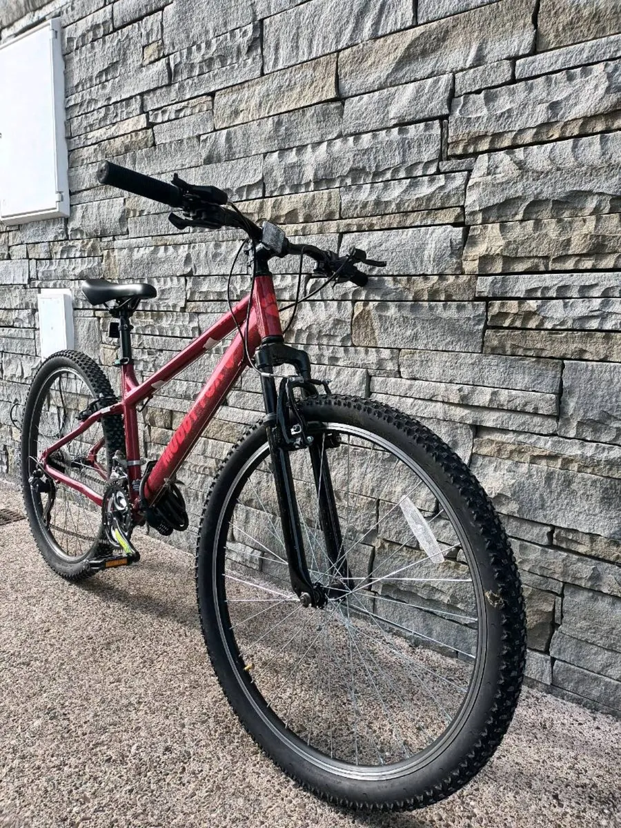 Bicycle - Image 2