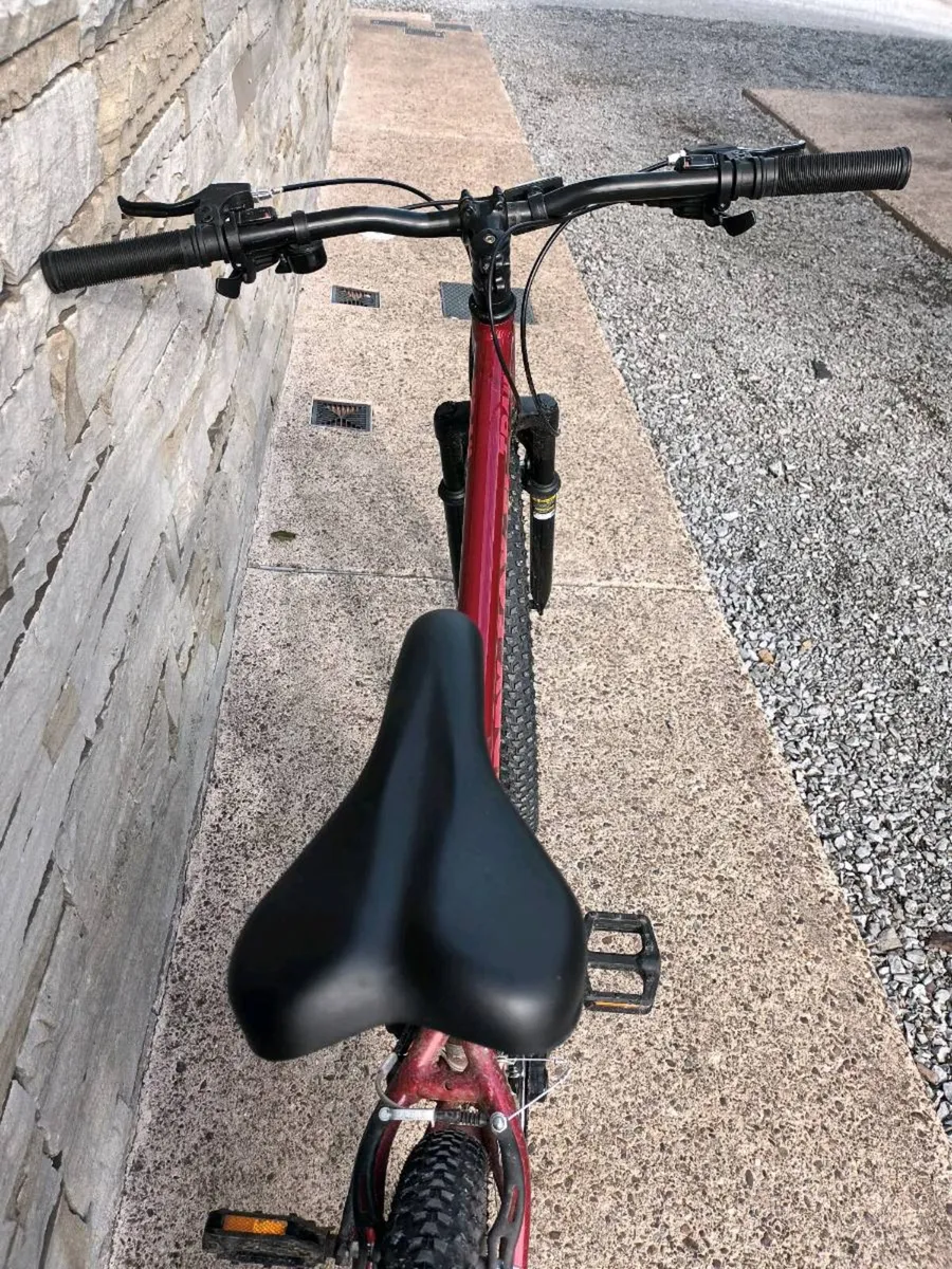 Bicycle - Image 4