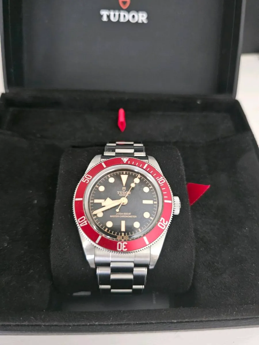 Tudor - Image 1