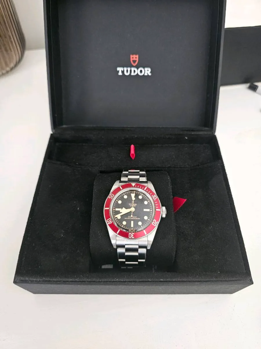 Tudor - Image 2