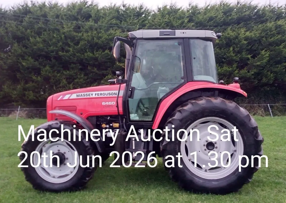 Sheep Report & Machinery Auction - Image 2