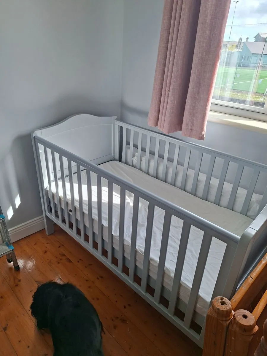 Toddler bed & Travel cot for sale - Image 1