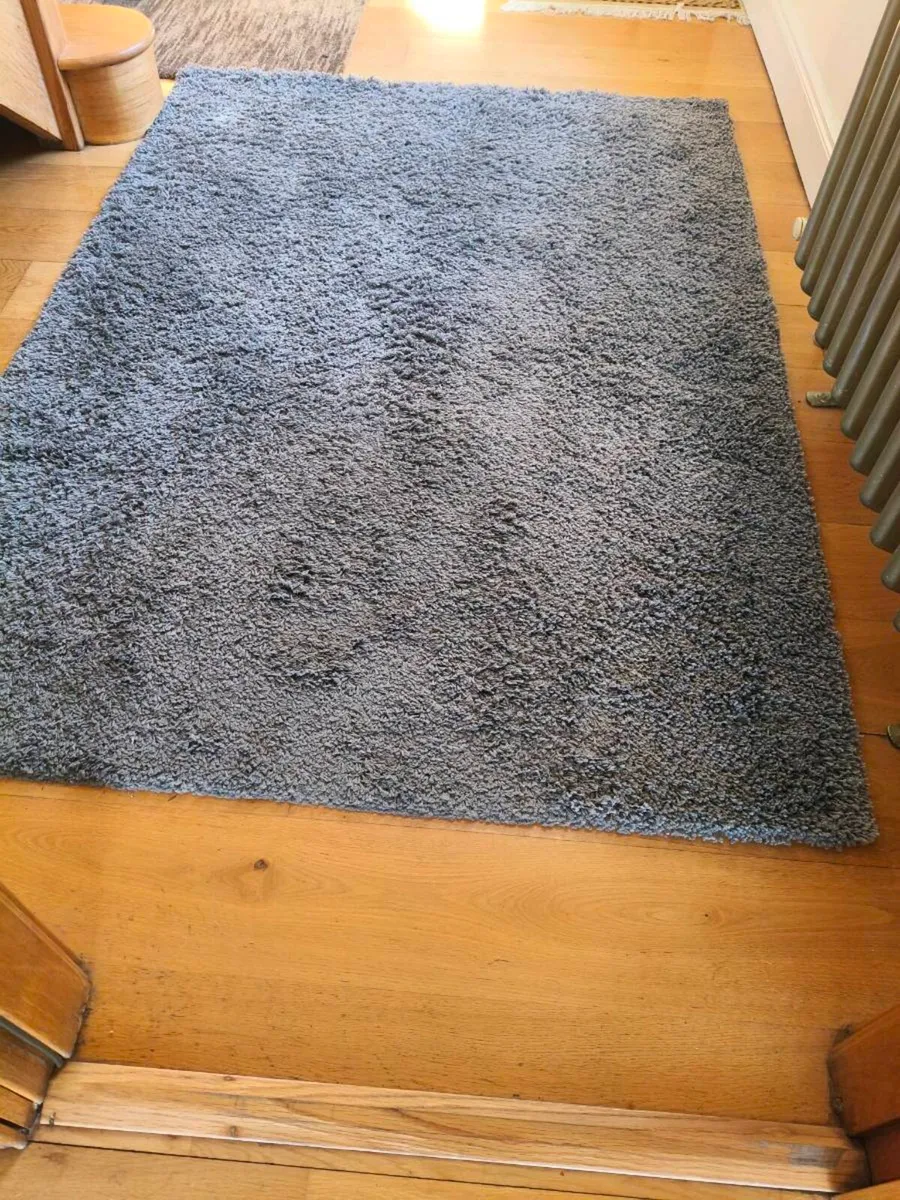 Beautiful gray shaggy rug 160/230 need gone - Image 1