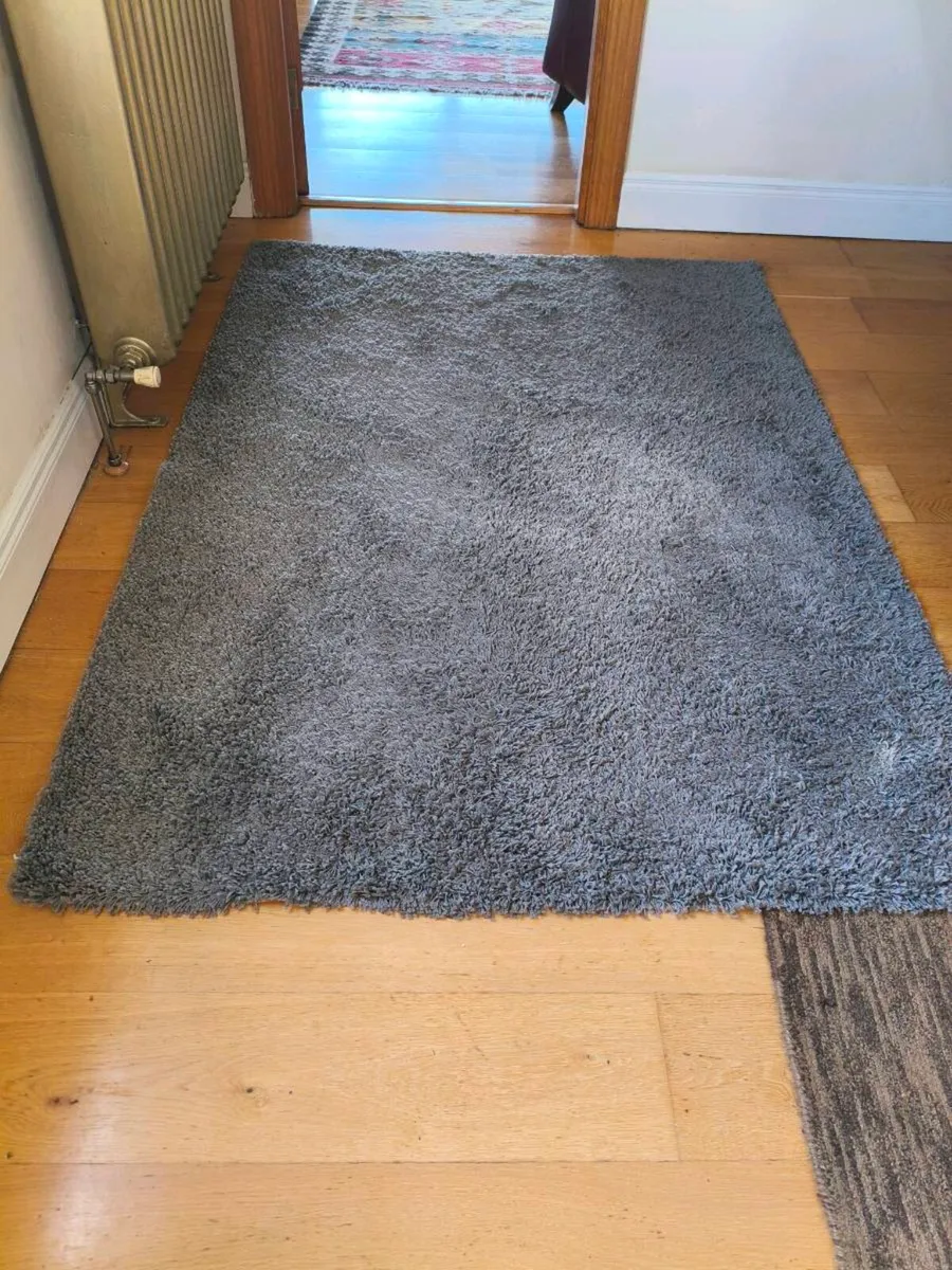 Beautiful gray shaggy rug 160/230 need gone - Image 2