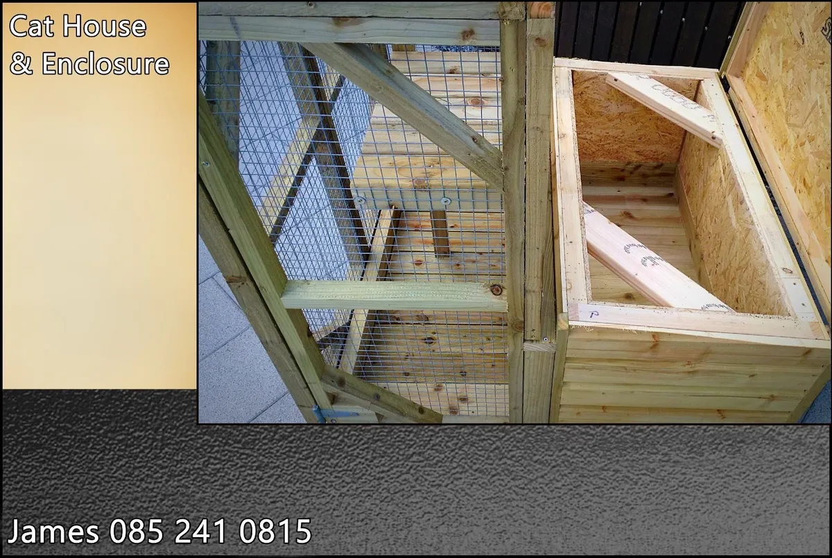 Cat/Kitten House & Enclosure - Image 4