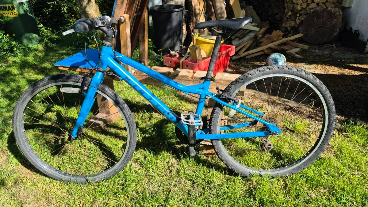 Bicycle - Image 1