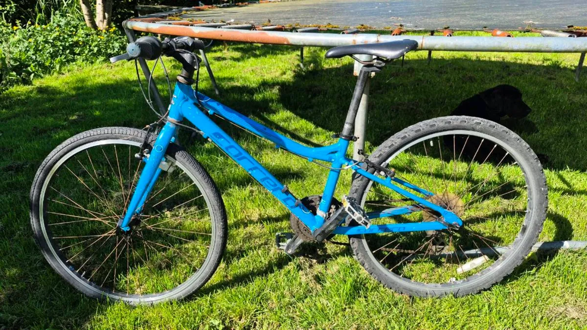 Bicycle - Image 2