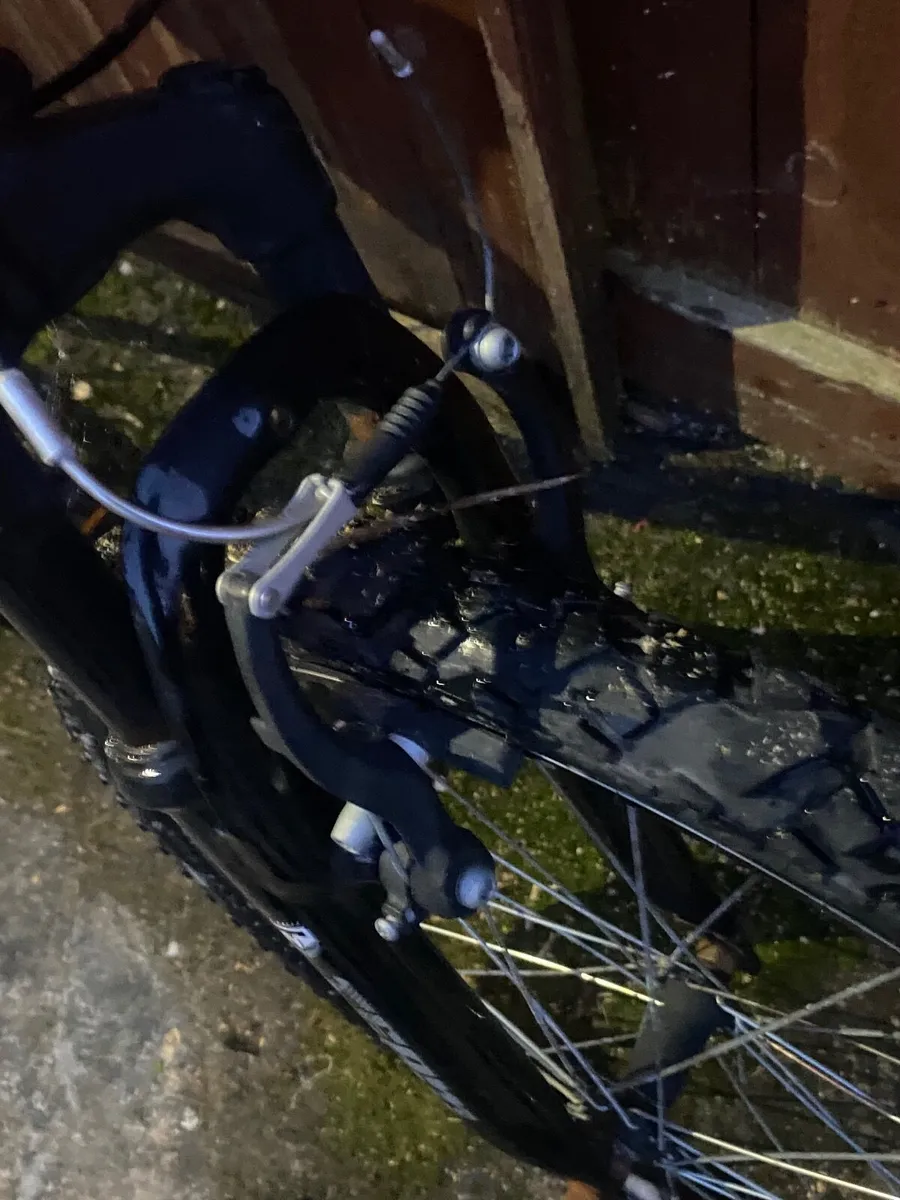 Team bike - Image 3