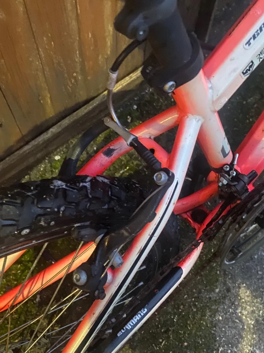Team bike - Image 4