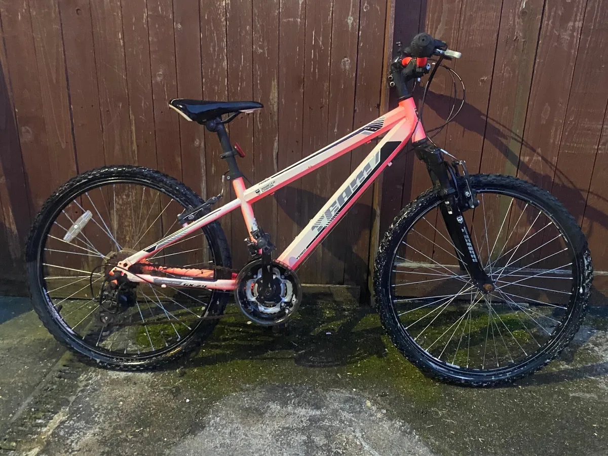 Team bike - Image 1