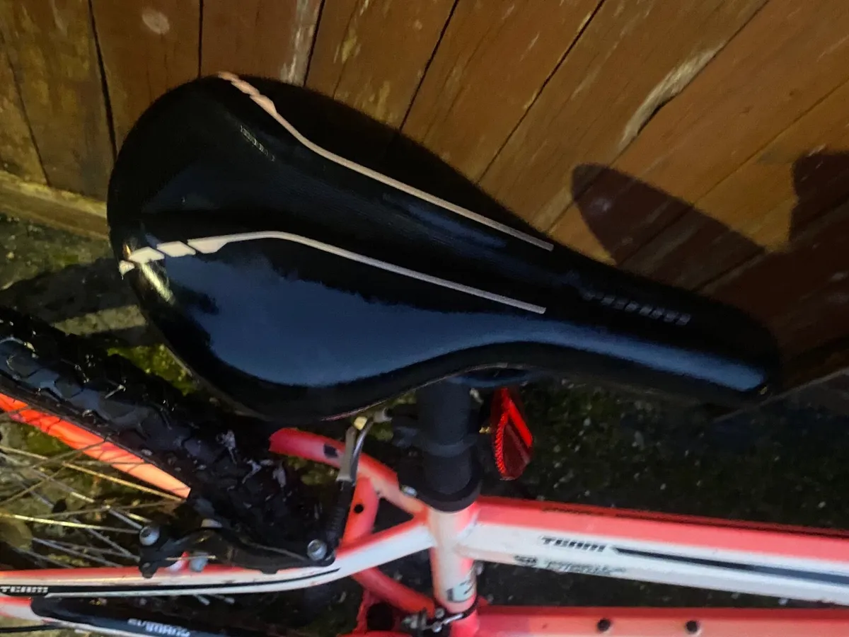 Team bike - Image 2
