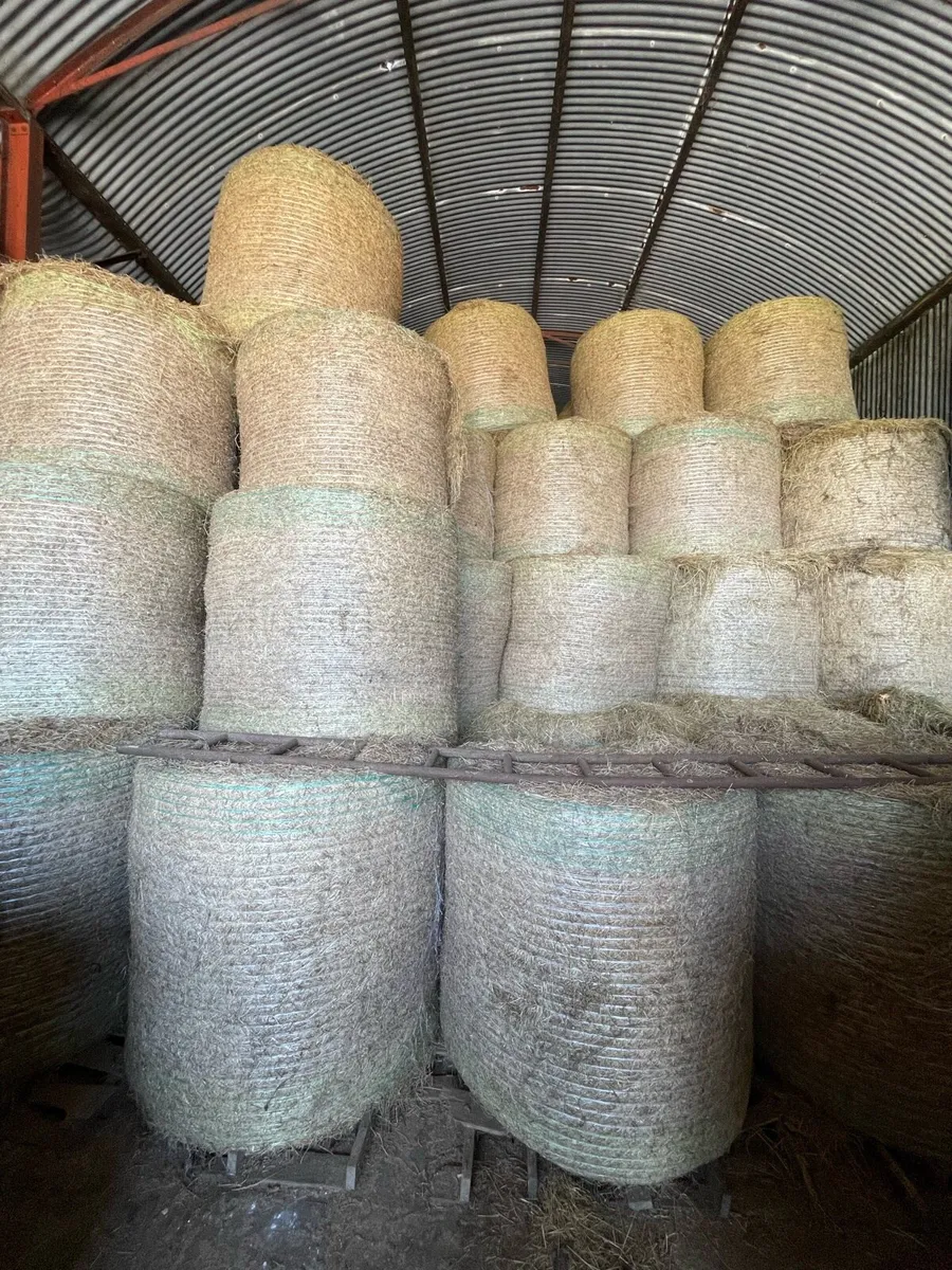 Hay and Haylage - Image 4