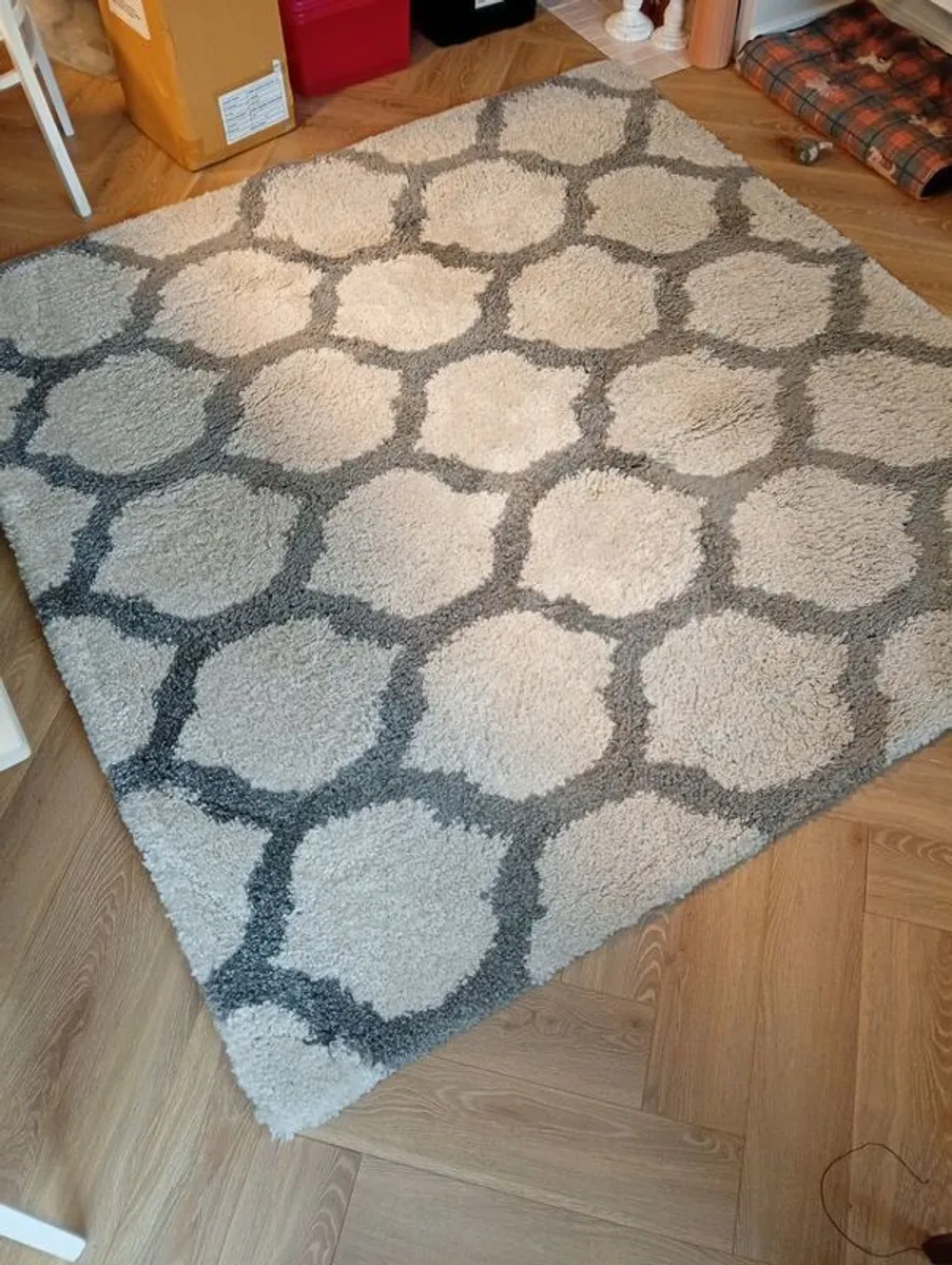 Shaggy Berber Area Rug - Image 1