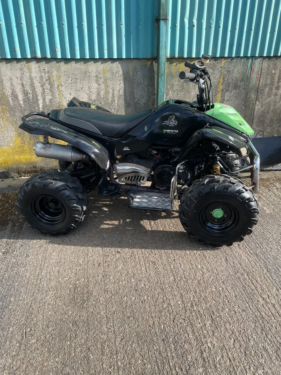 Kids quad big frame - Image 3
