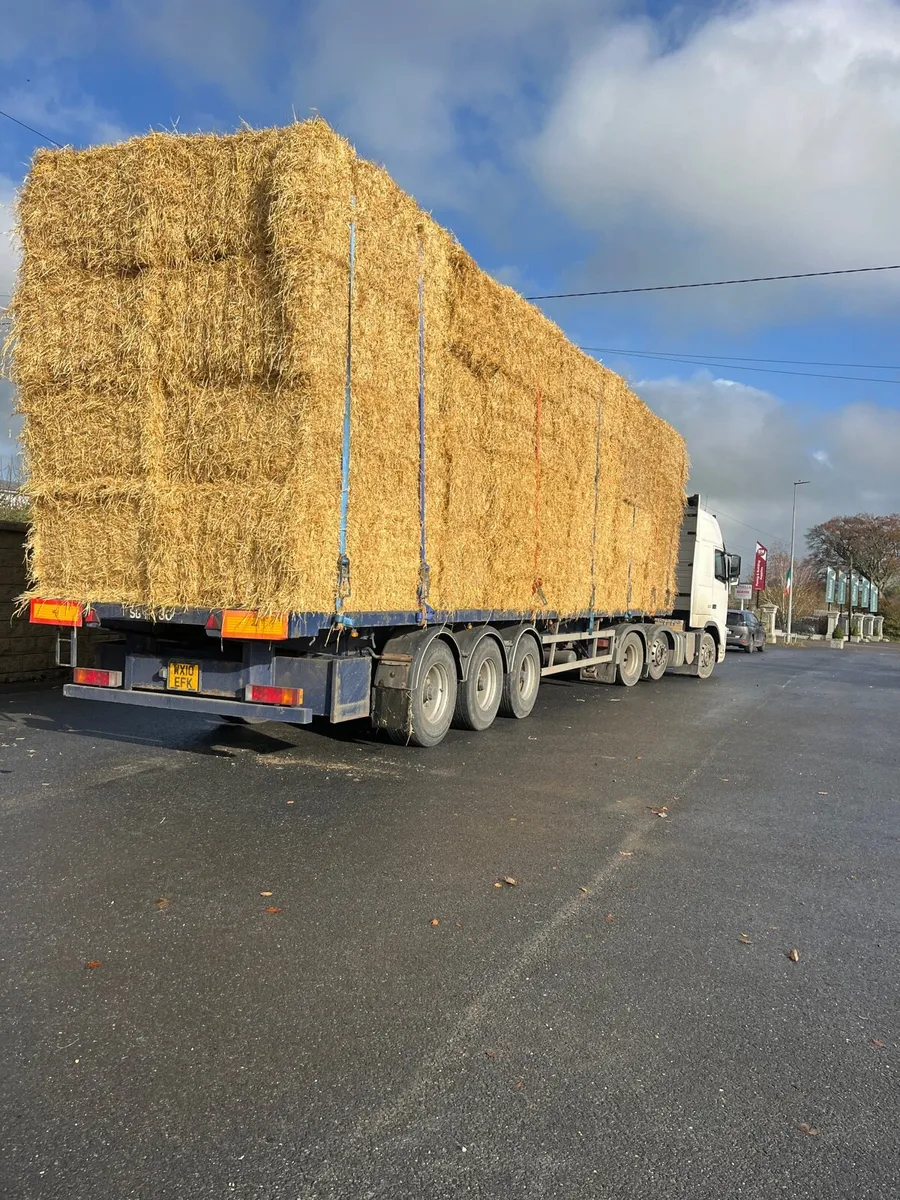 Top quality feeding wheat straw