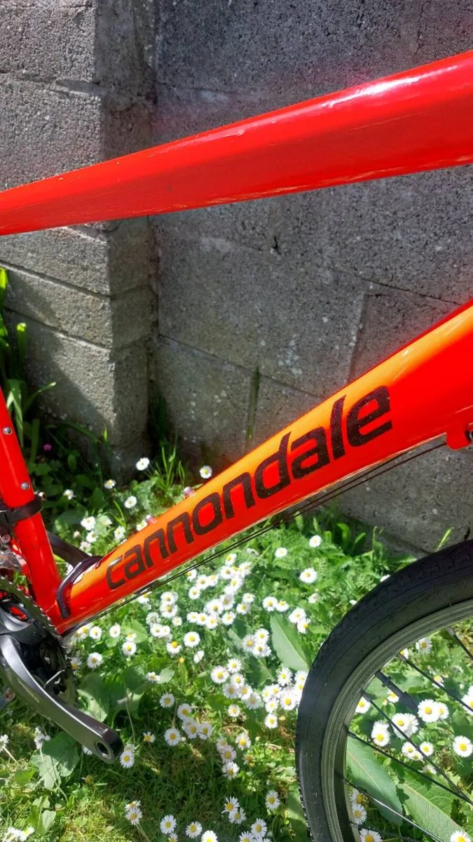 Cannondale Quick 7 hybrid bike - Size Large / L - Image 4