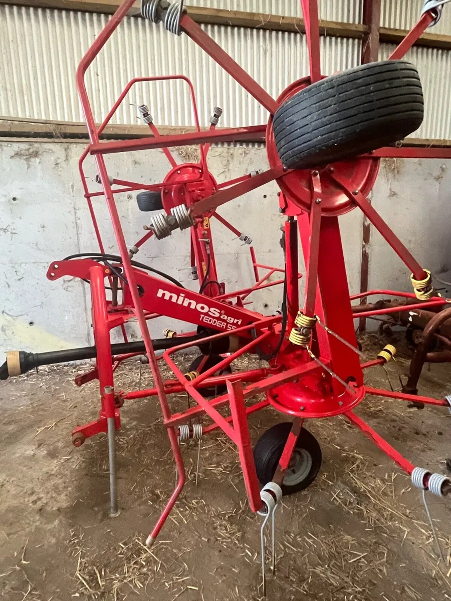Minos Tedder - Image 2