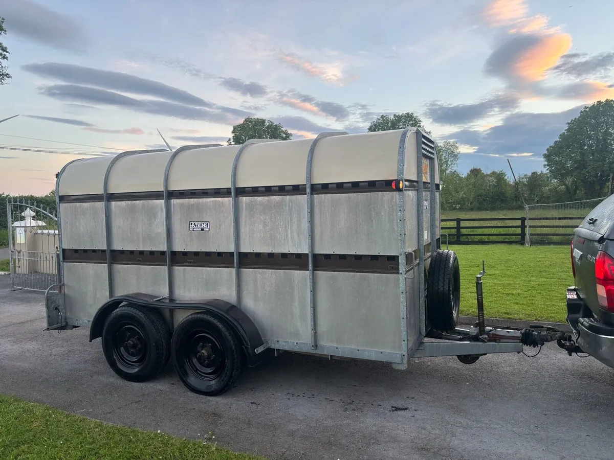 Bateson cattle trailer - Image 2