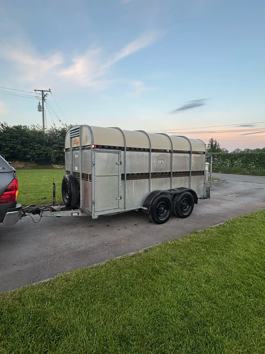 Bateson cattle trailer - Image 3