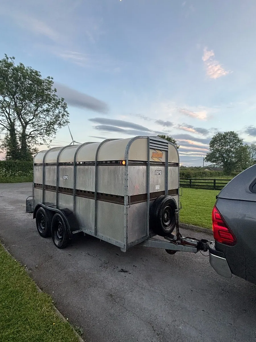 Bateson cattle trailer - Image 4