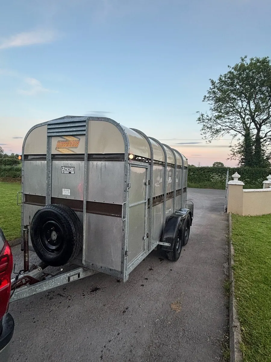 Bateson cattle trailer - Image 1