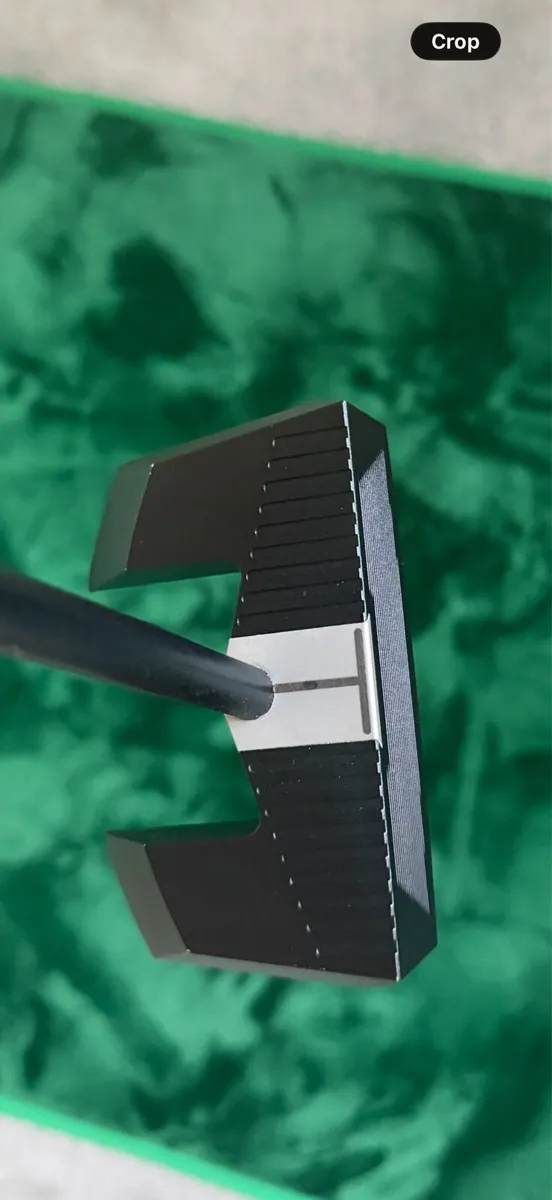 Golf putter - Image 1