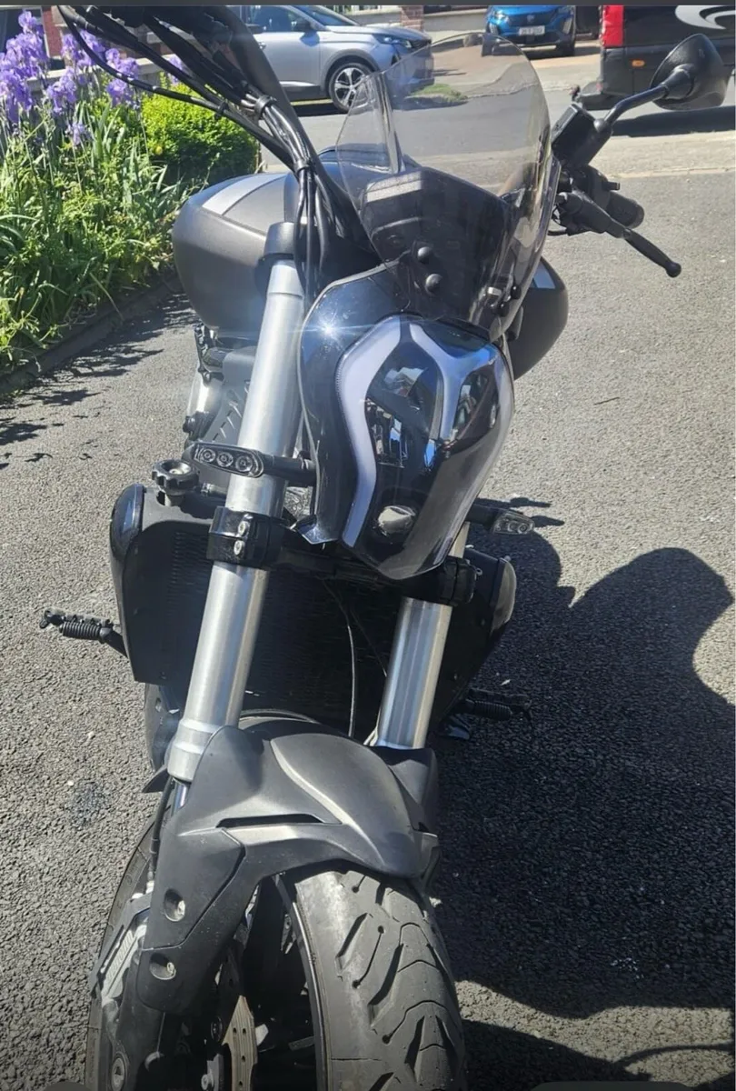 Benelli 502c cruiser - Image 2