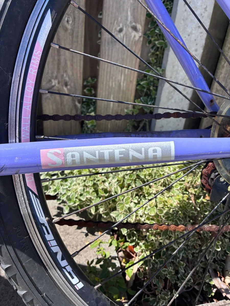 Bike for Sale - Image 4