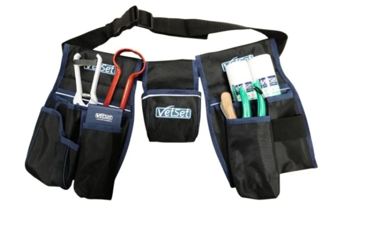 VetSet Shepherds Belt - Image 2