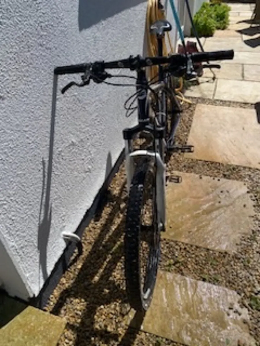Giant Hard Tail Mountain Bike Talon - Image 3