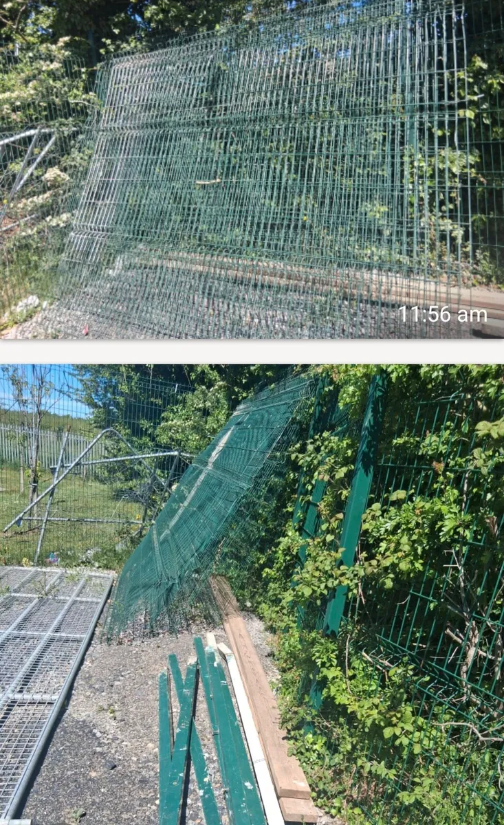 Mesh fencing