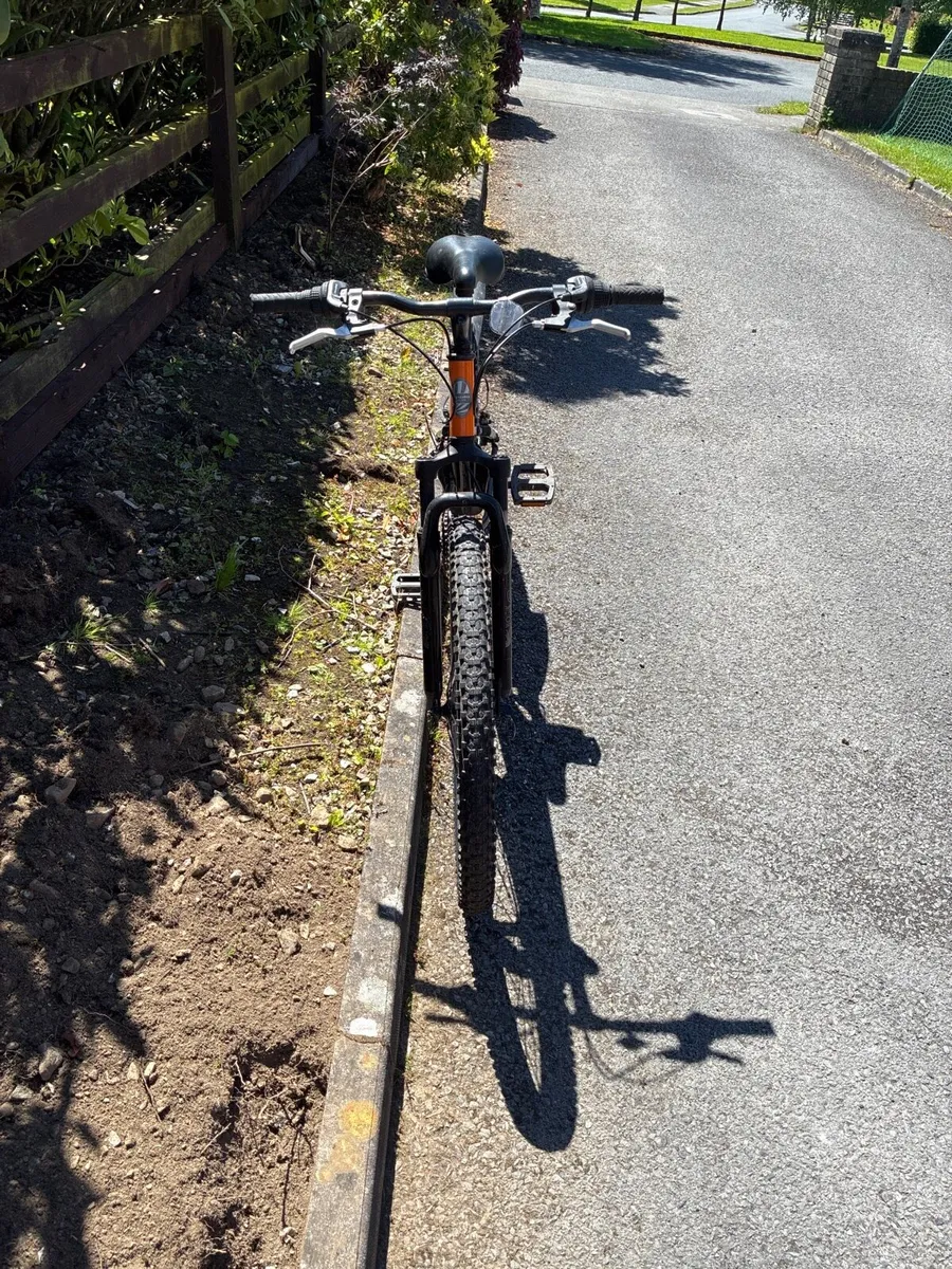 Bike - Image 2