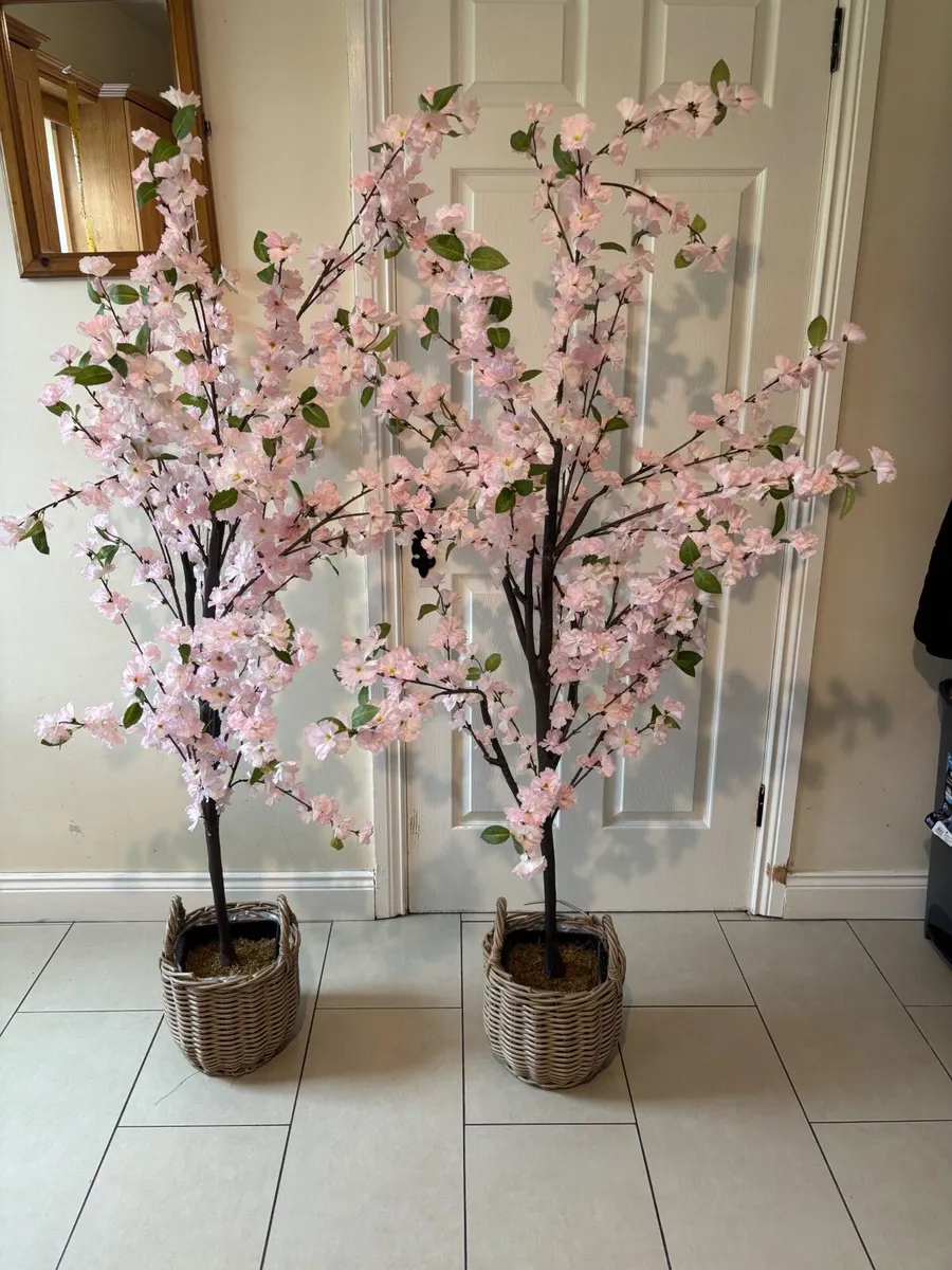 Cherry Blossom Trees - Image 2