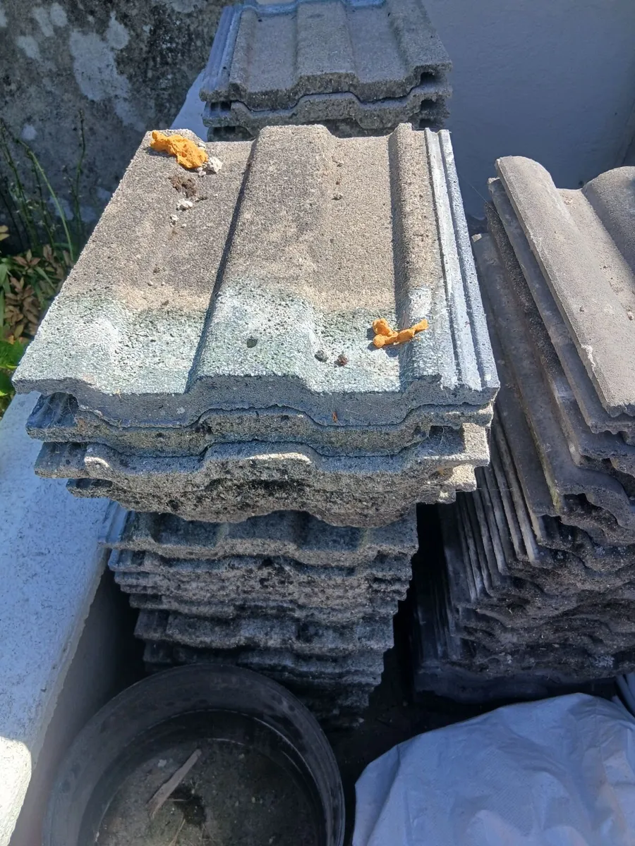Roof tiles - Image 3