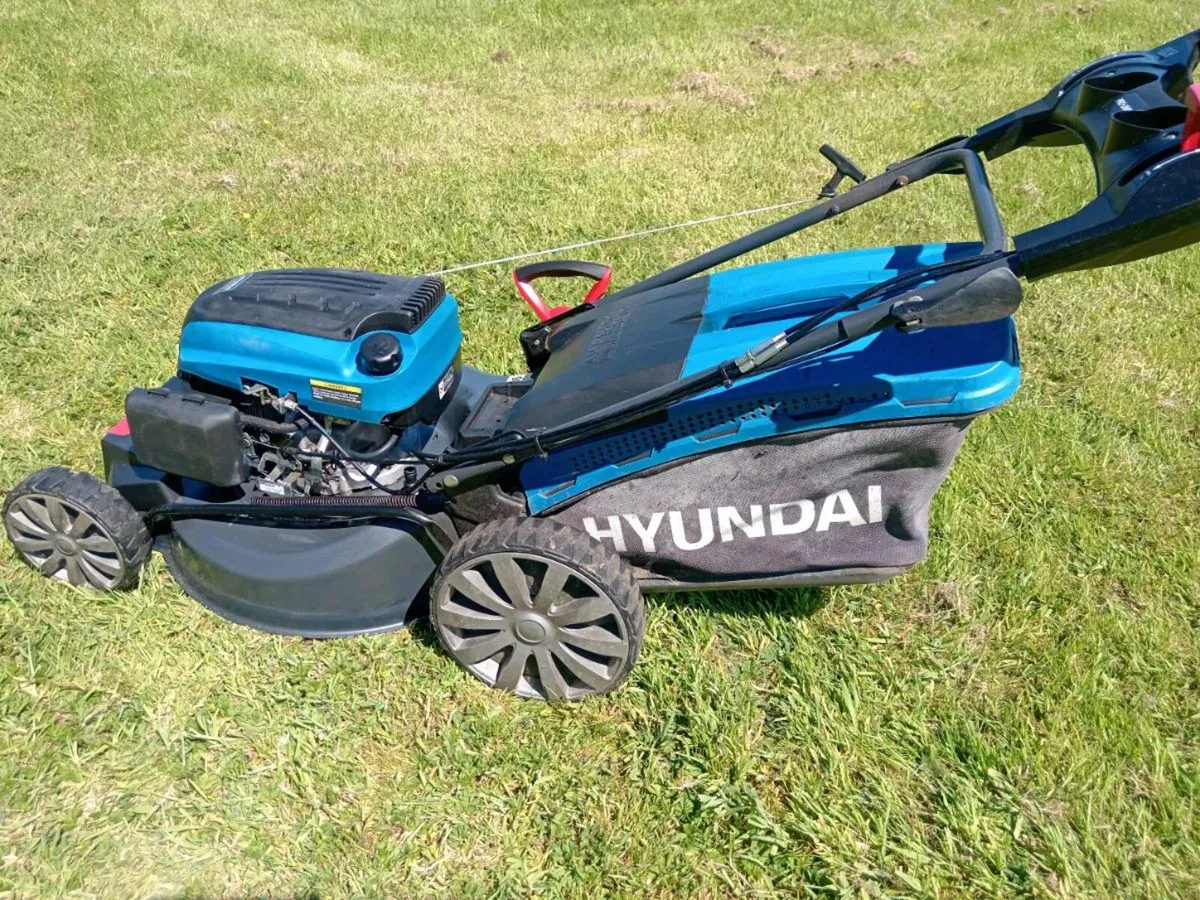 Lawnmowers - Image 4