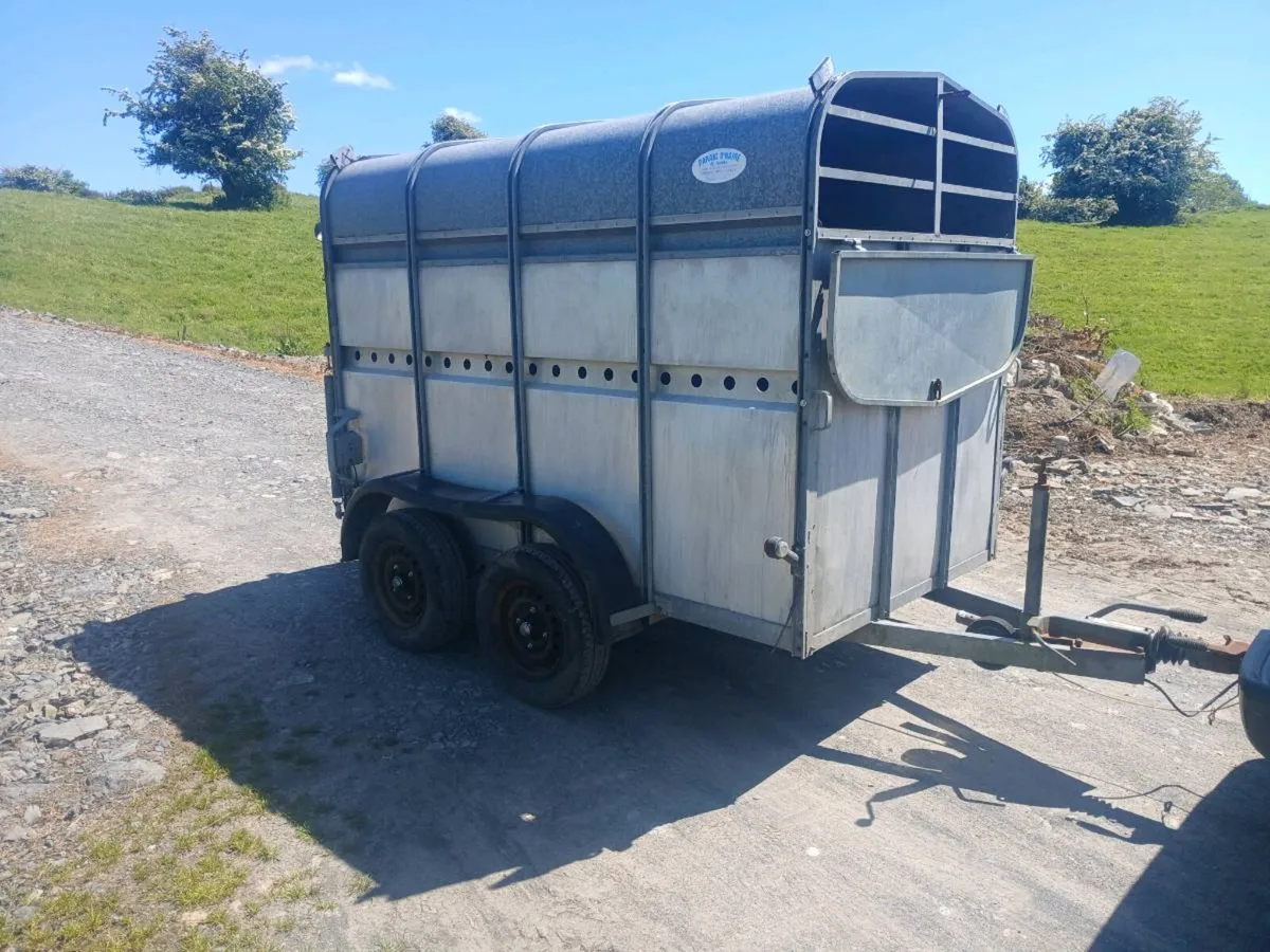 P O'HAIRE CATTLE TRAILER - Image 2