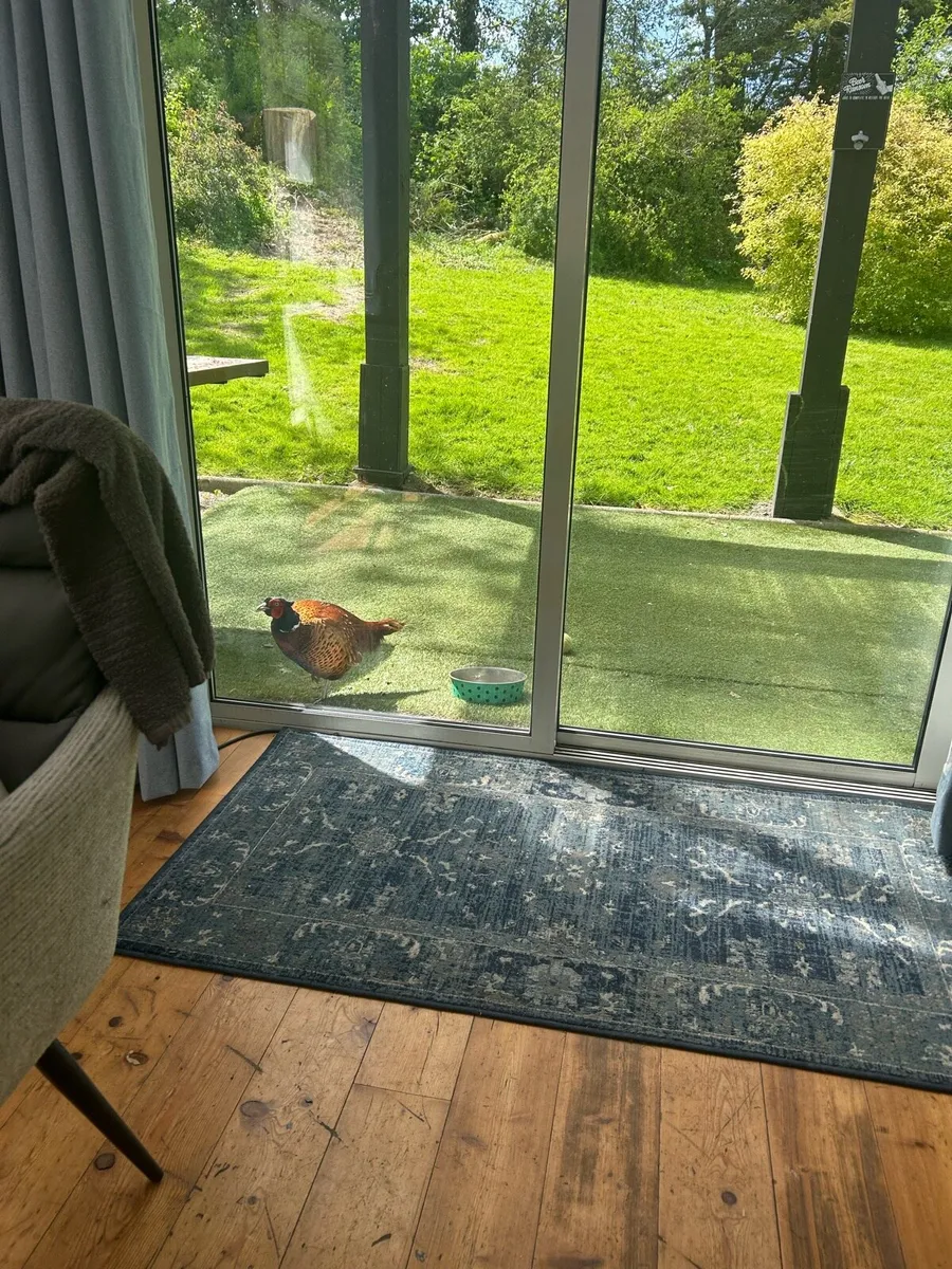 Sliding French doors - Image 3