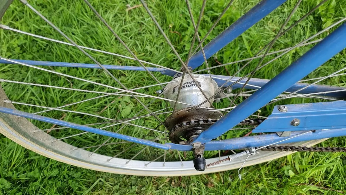 Pashely Bicycle - Image 3