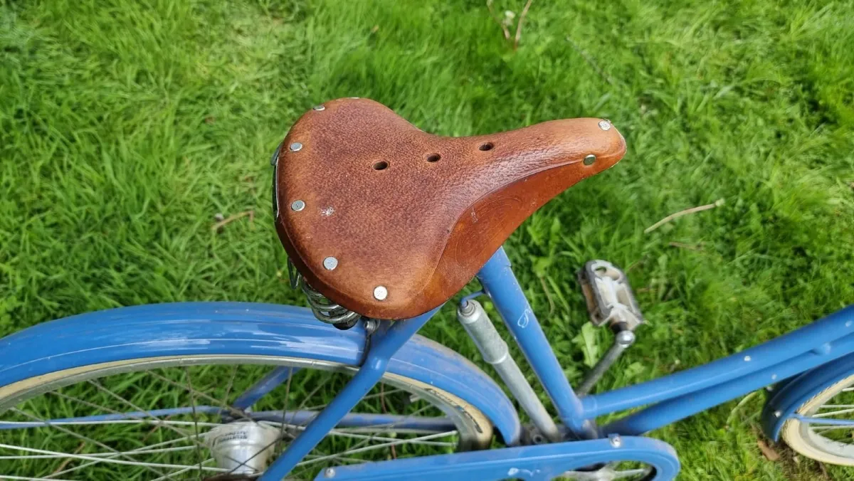 Pashely Bicycle - Image 2