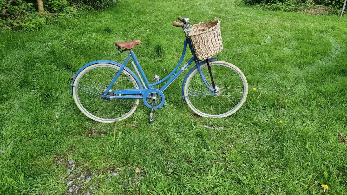 Pashely Bicycle - Image 4