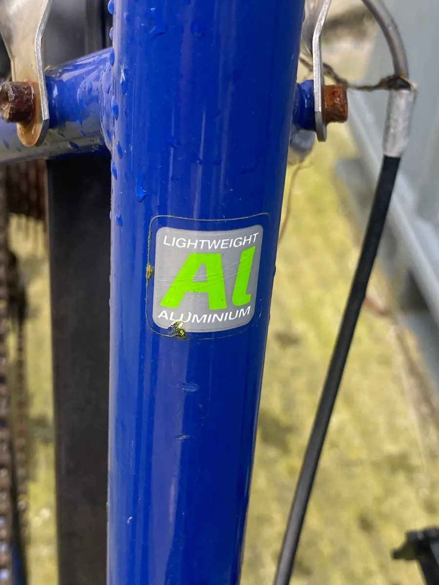 Ladies bike - Image 2
