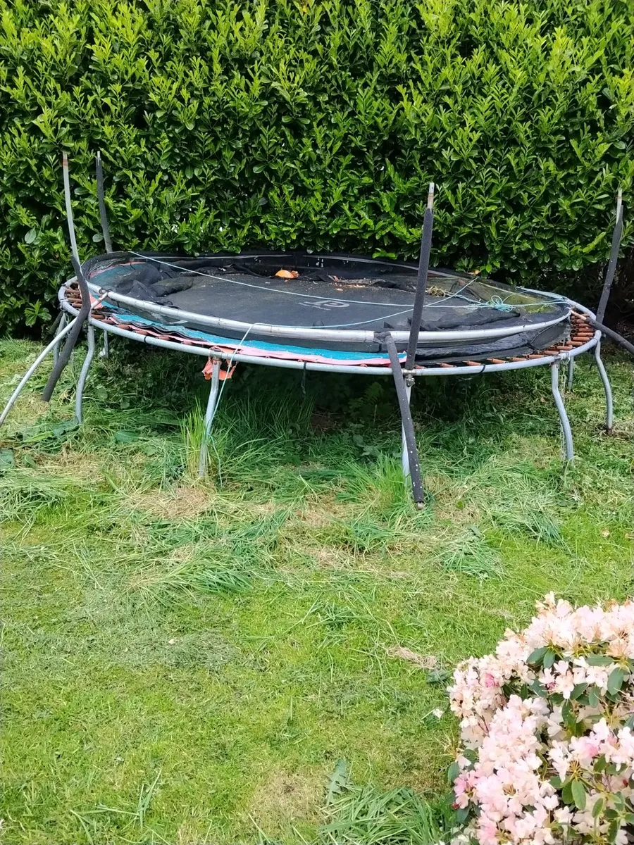 Trampoline