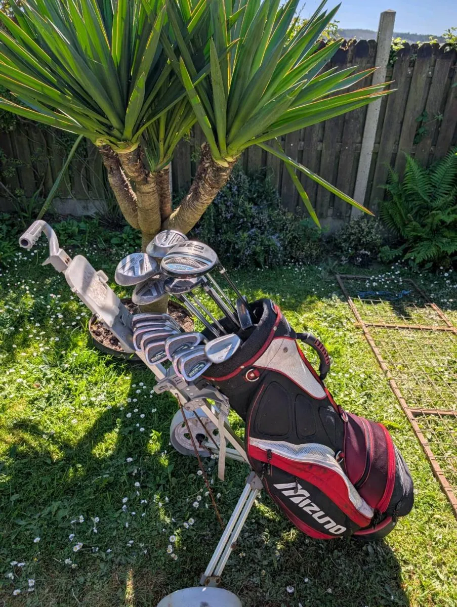 Cheap set of adult Golf clubs - Image 1