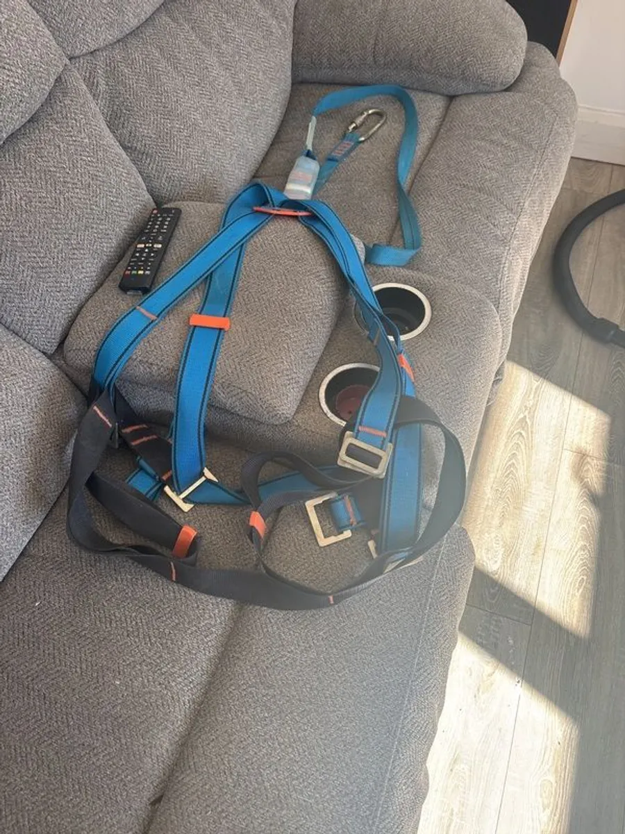 Safety Harness - Image 4