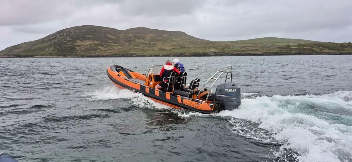 6.7 BWM rib - Image 1